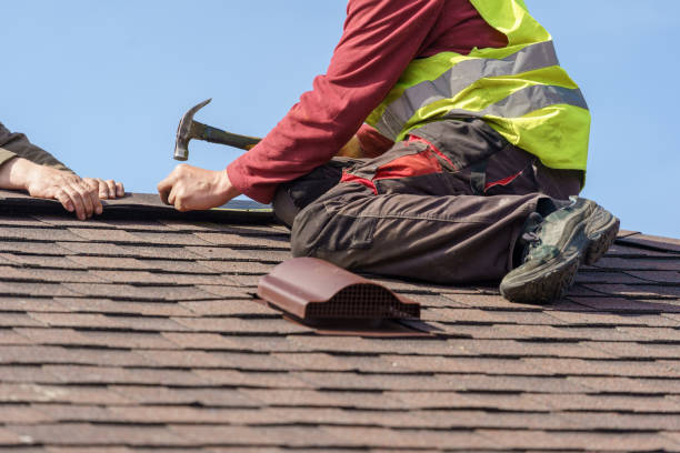 Best Roof Gutter Cleaning  in Mapleton, MN